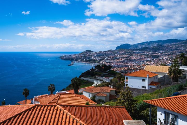 Funchal, město fenyklu