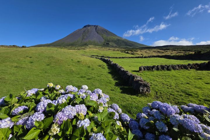 Pico, Azory