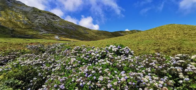 Krajina ostrova Corvo