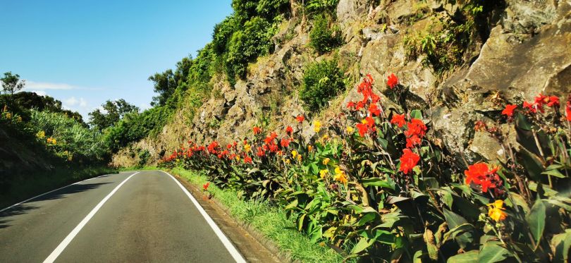 Flores, ostrov květin