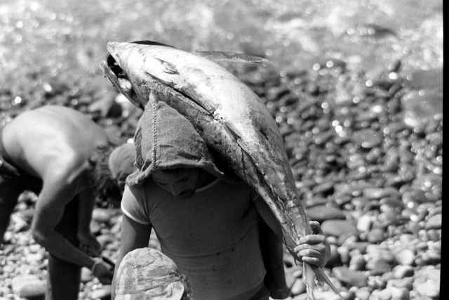 Ryby si na Madeiře dáte všude