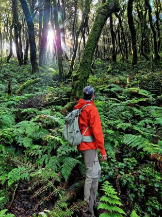 V NP Garajonay na ostrově La Gomera