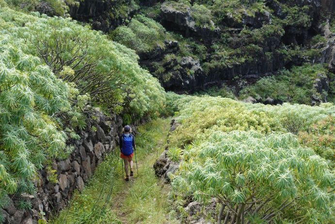 La Palma je svou zelení konkurencí Madeiře. Tady se pěší turista