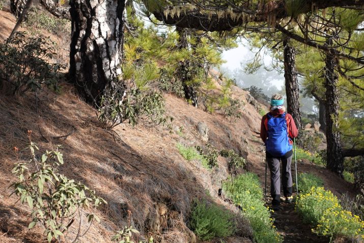 Ráj pro pěší turisty. Ostrov La Palma
