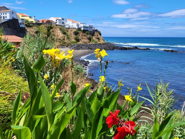 Květy u vesnice Maia. São Miguel