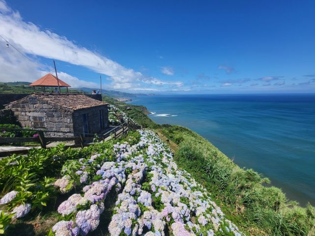 Lány hortenzií. São Miguel, Azorské ostrovy
