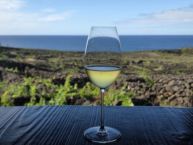 Ochutnat místní víno je na ostrově Pico povinností