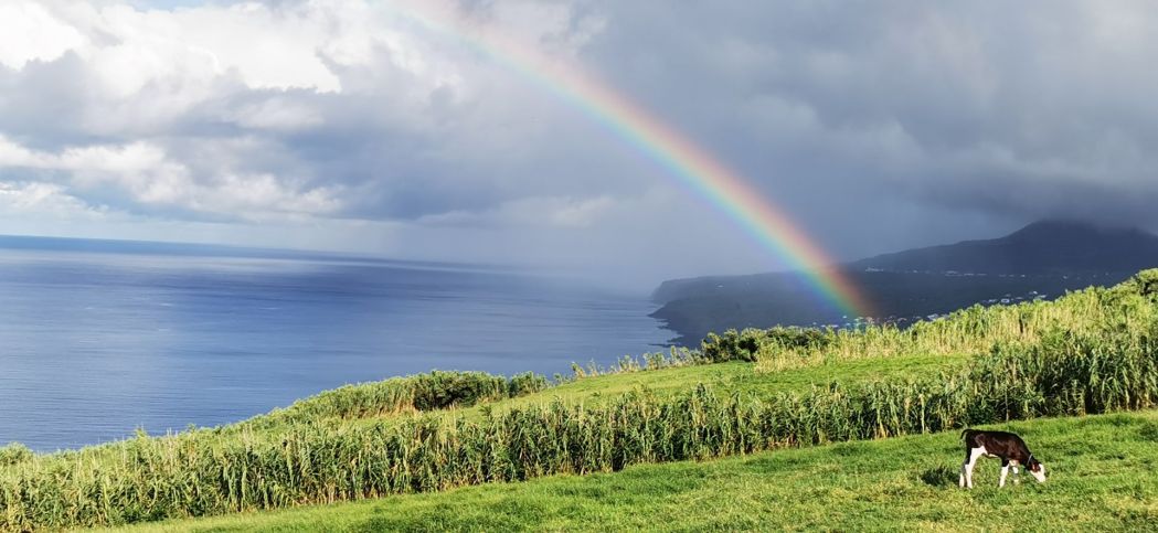 Duhy jsou na Azorech časté