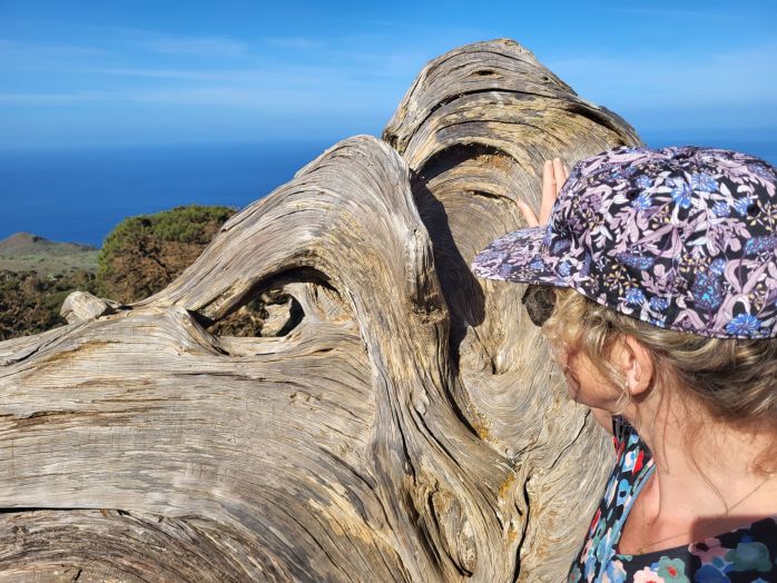 Jalovce na El Hierru, Kanárské ostrovy