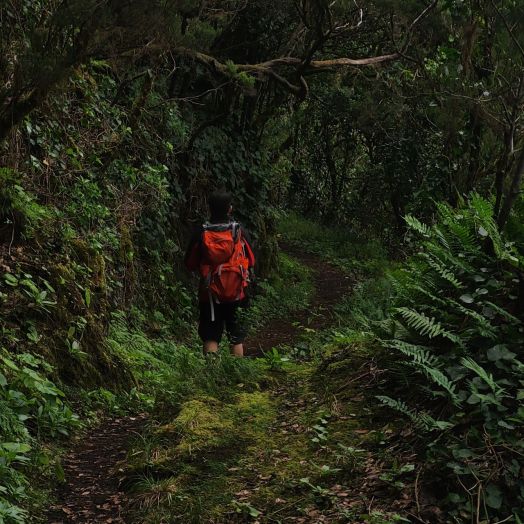 Pěší túra pralesy na El Hierru