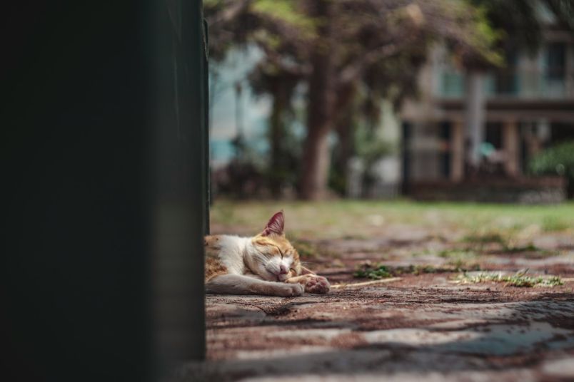 La Gomera a její nakažlivý klid