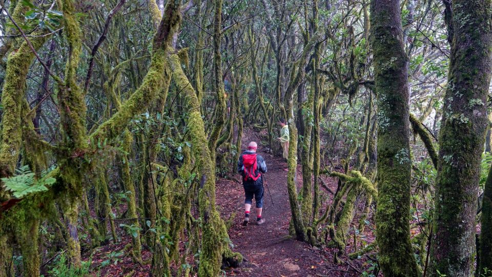 V pralese na ostrově La Gomera