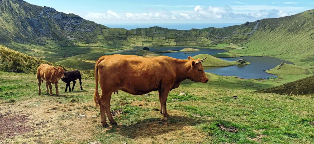 Kráter na ostrově Corvo, Azorské ostrovy