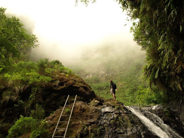 V pralesích ostrova Madeira