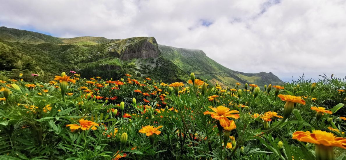 Flores je nazývaný ostrovem květin. Právem.