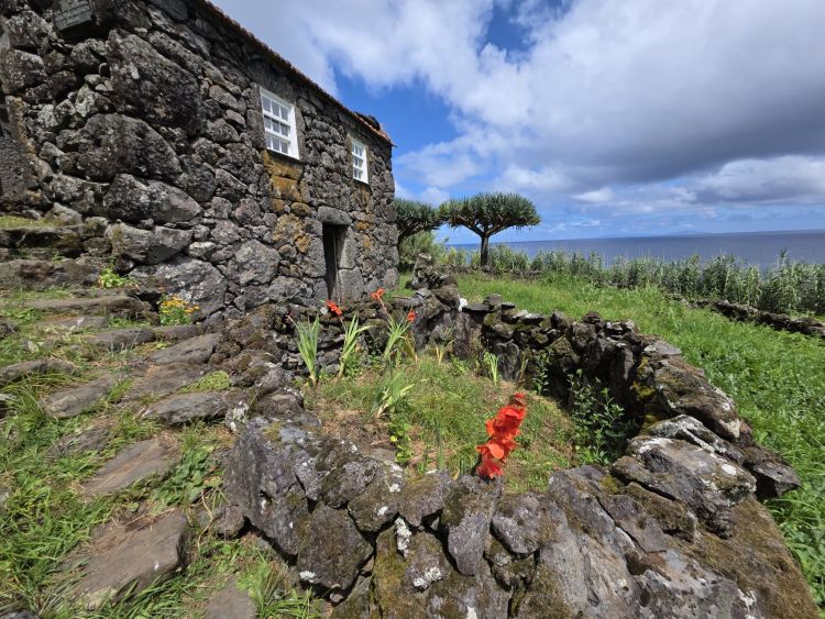 Domy na São Jorge, Azory
