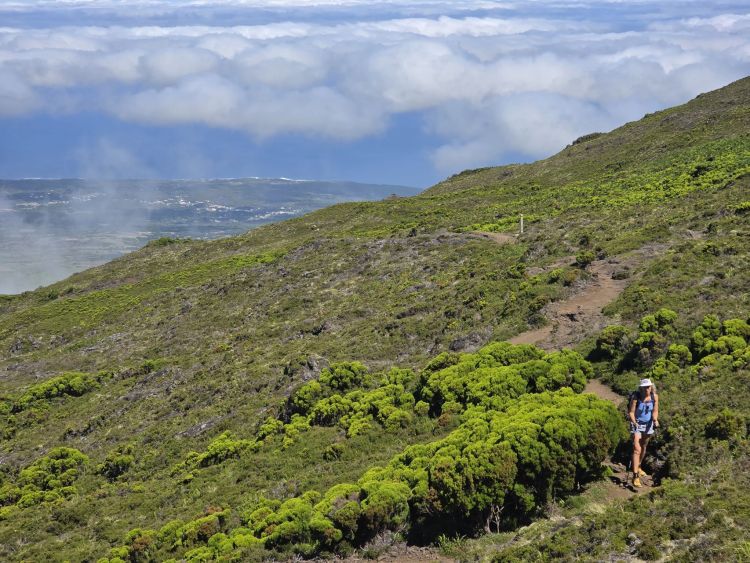 Na úpatí hory Pico, Azorské ostrovy