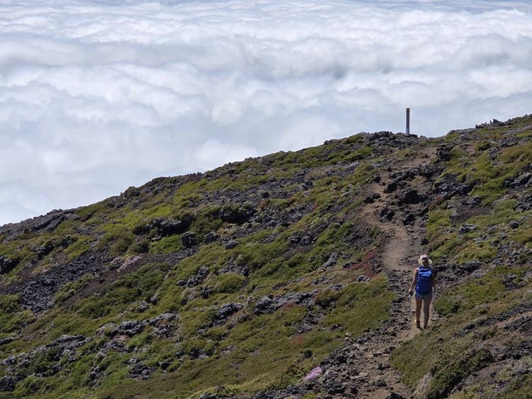 Stezka u vrcholu Pico, Azory