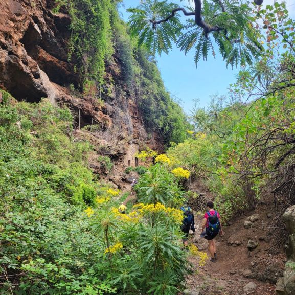 Ukázka terénu - La Palma, Kanárské ostrovy