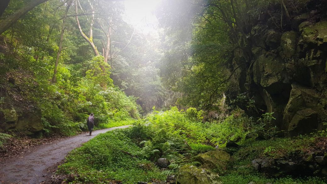 Cubo de La Galga, ostrov La Palma