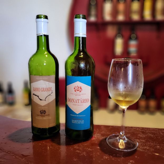 Místní víno má specifickou chuť. Oblast Biscoitos, Terceira