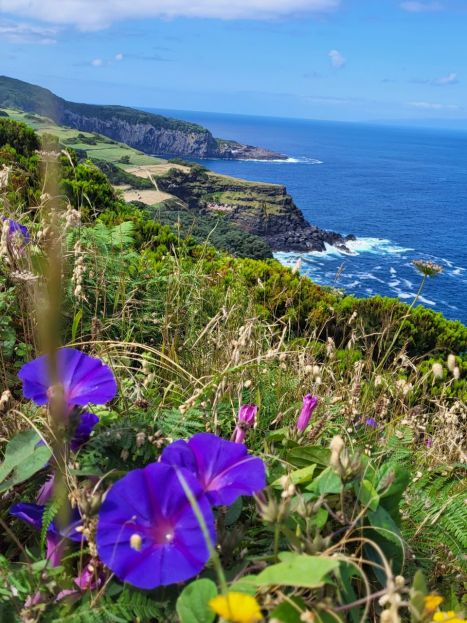 Krásné vyhlídky jsou všude. Terceira, Azorské ostrovy