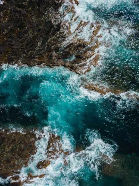 Divoké pobřeží Azor, Makaronésie