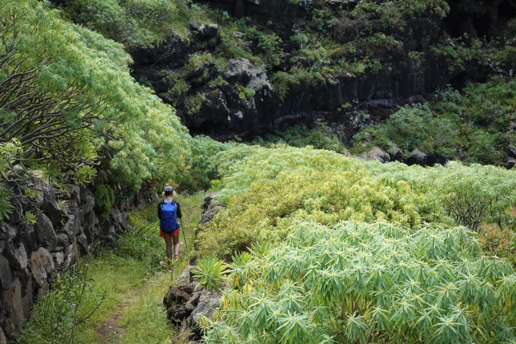Pěší túry jsou na La Palmě prostě skvělé.
