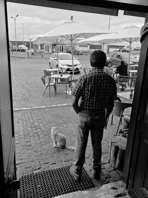 Obyčejný život na Azorech