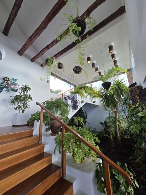 Interiér restaurace navržené architektem Manriquem, El Hierro