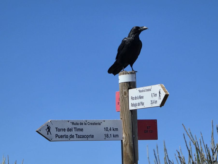 Fauna ostrova a turistické značení