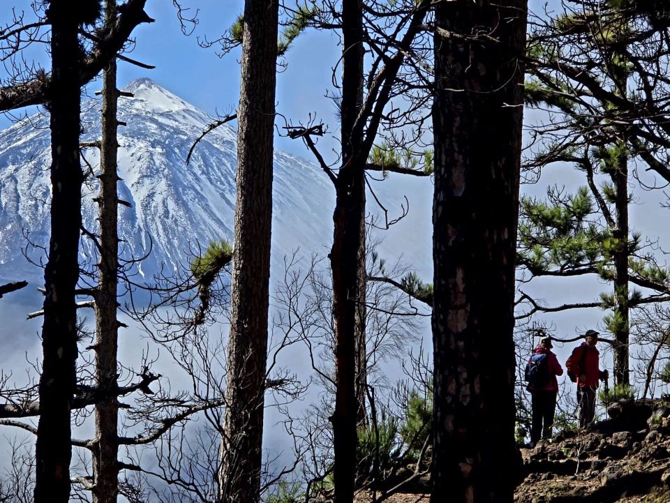 Pěší turistika pod Teide, Tenerife