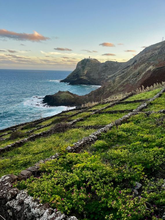 Terasovitá políčka. Ostrov Santa Maria, Azory