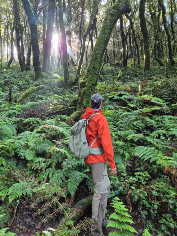 Moje oblíbená La Gomera
