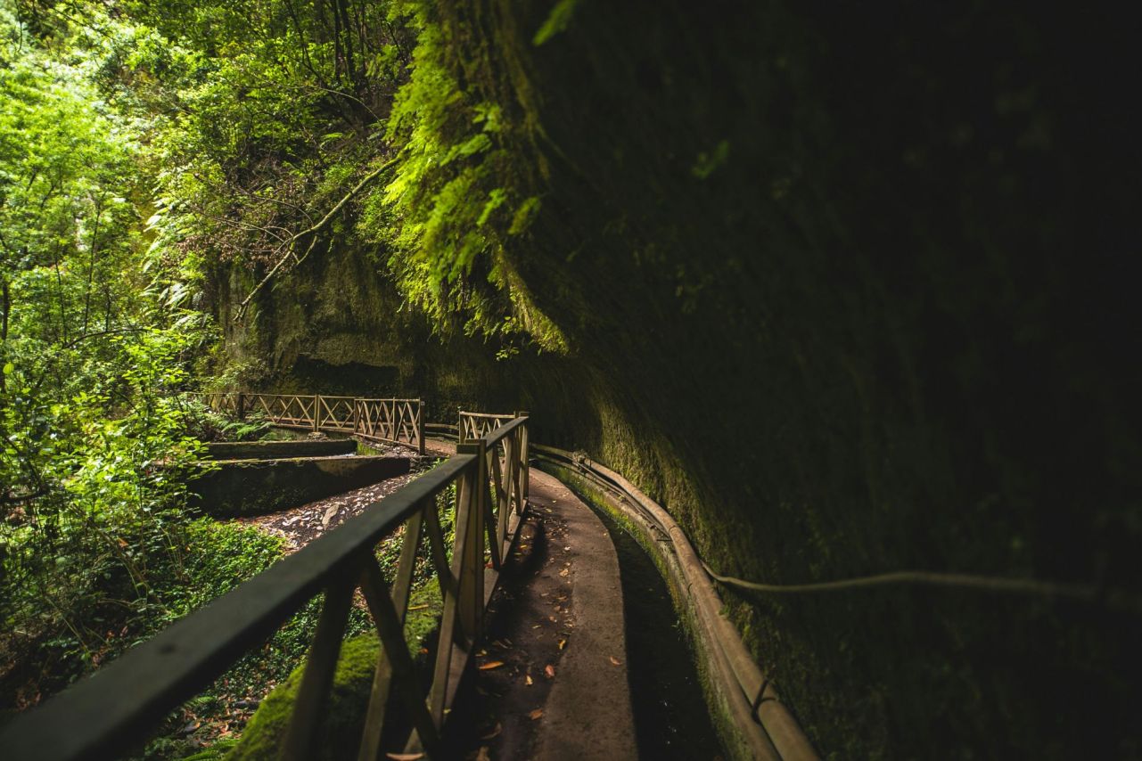 Na ostrově La Palma najdete i levády