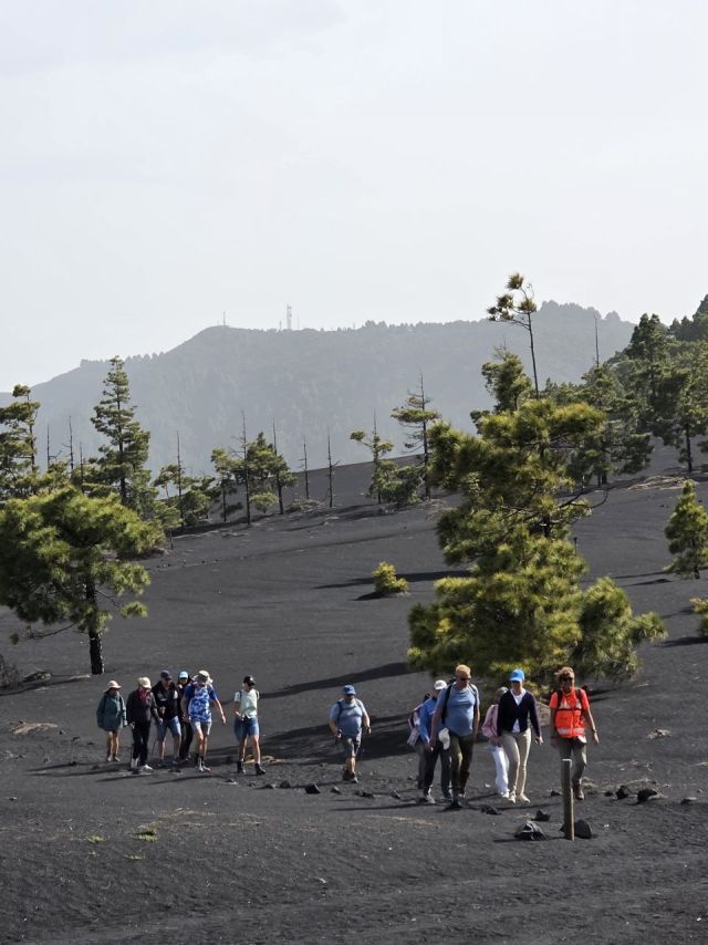 V okolí sopky Tajogaite, La Palma