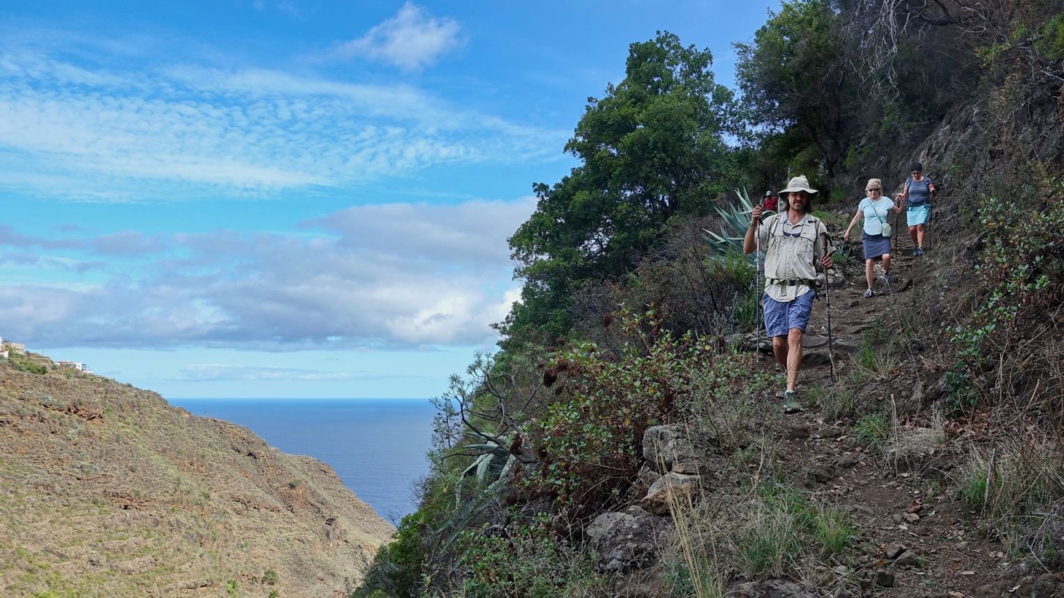 V práci. La Palma, Kanárské ostrovy