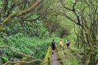Cesta k Lagoa do Fogo