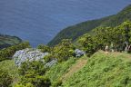 Fajá de Santo Cristo, São Jorge, Azory